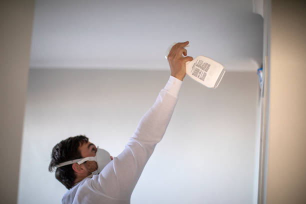 Best Mold Damage Repair  in Janesville, CA