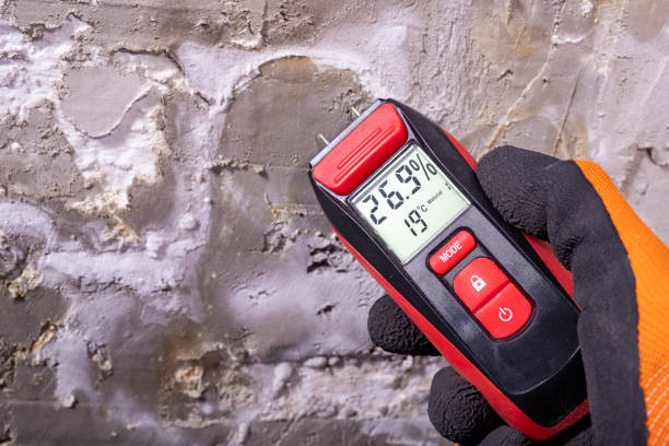 Best Residential Mold Removal  in Janesville, CA