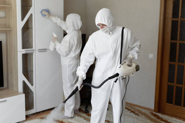 Janesville, CA Mold Removal Company