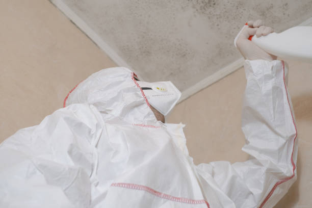 Best Mold Remediation  in Janesville, CA