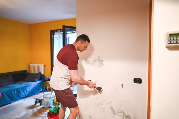 Best Fast Mold Removal  in Janesville, CA
